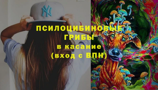 бошки Инсар