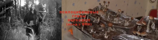 бошки Инсар