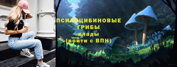 бошки Инсар