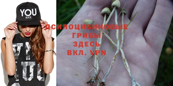 спиды Инта