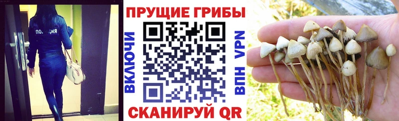 Псилоцибиновые грибы Magic Shrooms  Купить закладки  Называевск 