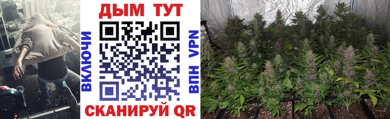 Купить закладки  Называевск  Конопля ГИДРОПОН 